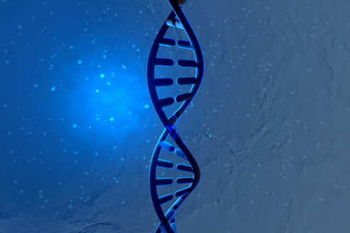 3D Rendered Illustration, visualisation of a DNA double helix - SPCF00411