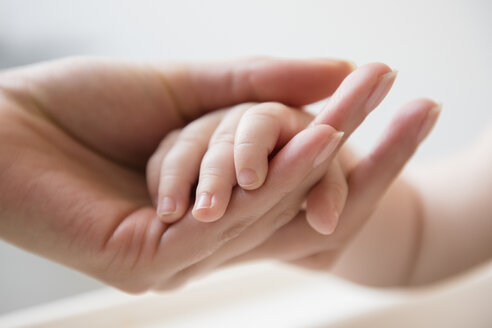 Die Hand der Mutter hält die Hand ihres kleinen Sohnes - BLEF03533