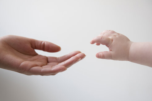 Die Hand der Mutter greift nach der Hand des kleinen Sohnes - BLEF03534