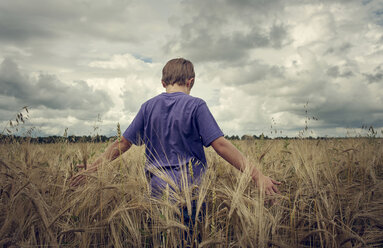 Kaukasischer Junge geht in einem Weizenfeld - BLEF03550