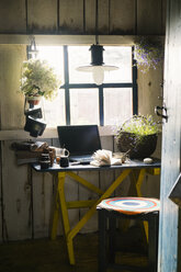 Laptop and plants near rustic window - BLEF03618