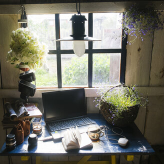 Laptop und Pflanzen am rustikalen Fenster - BLEF03619