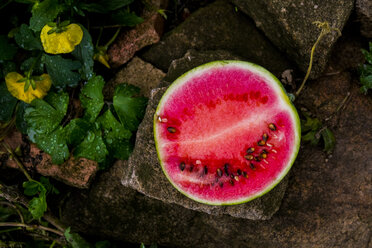 Wassermelonenscheibe auf Fels - BLEF03644