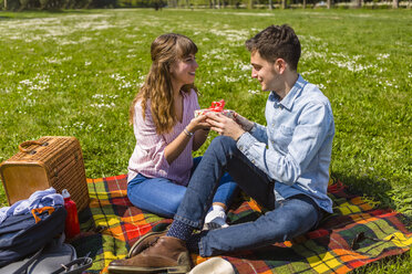 Young woman gifting her boyfriend with a present in a park - MGIF00467
