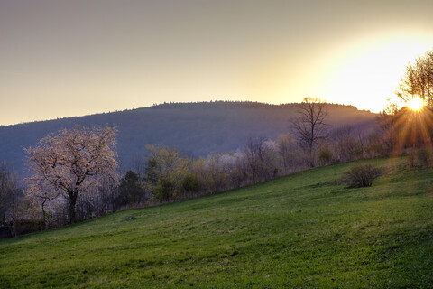 Sonnenaufgang, Ehrenberg, Rhön, Deutschland, lizenzfreies Stockfoto