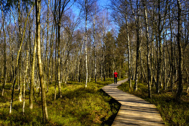 Hiker walking on a boardwalk, nature reserve, Red Moor, Rhoen, Germany - LBF02571