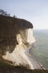 Kreidefelsen, Nationalpark Jasmund, Rügen, Deutschland - WIF03913