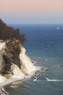 Kreidefelsen, Nationalpark Jasmund, Rügen, Deutschland - WIF03915