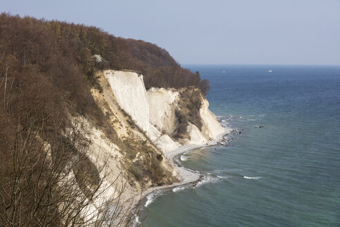 Kreidefelsen, Nationalpark Jasmund, Rügen, Deutschland - WIF03916