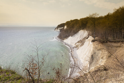 Kreidefelsen, Nationalpark Jasmund, Rügen, Deutschland - WIF03917