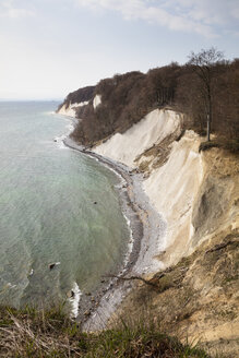 Kreidefelsen, Nationalpark Jasmund, Rügen, Deutschland - WIF03918