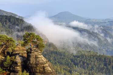 Deutschland, Sachsen, Elbsandsteingebirge, Blick vom Aussichtspunkt Schrammsteine auf das Elbtal - RUEF02209