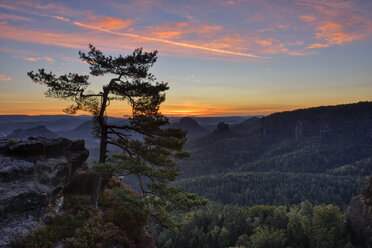 Germany, Saxony, Elbe Sandstone Mountains, pine tree with view to the mountain Winterstein from the Gleitmannshorn at sunrise - RUEF02212