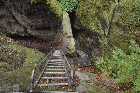 Deutschland, Sachsen, Elbsandsteingebirge, Wanderweg mit Leiter an Schrammsteinen - RUEF02216