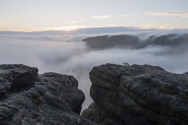 Deutschland, Sachsen, Elbsandsteingebirge, Blick vom Gleitmannshorn auf Nebel im Tal bei Sonnenaufgang - RUEF02217