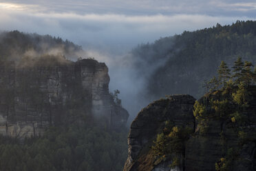 Deutschland, Sachsen, Elbsandsteingebirge, Blick vom Gleitmannshorn auf Sandsteinfelsen mit Nebel bei Sonnenaufgang - RUEF02221