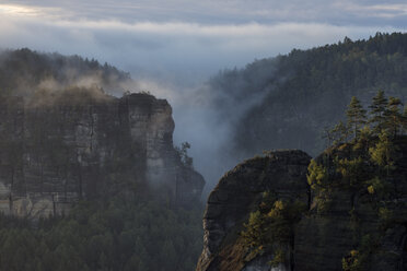 Germany, Saxony, Elbe Sandstone Mountains, view from Gleitmannshorn to sandstone rocks with fog at sunrise - RUEF02221