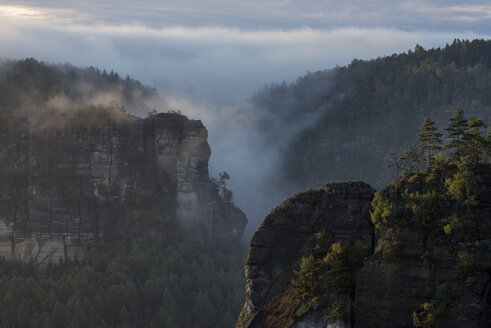 Germany, Saxony, Elbe Sandstone Mountains, view from Gleitmannshorn to sandstone rocks with fog at sunrise - RUEF02221