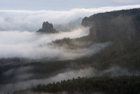 Deutschland, Sachsen, Elbsandsteingebirge, Blick vom Gleitmannshorn auf Sandsteinfelsen mit Nebel bei Sonnenaufgang - RUEF02223