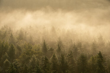 Deutschland, Sachsen, Elbsandsteingebirge, Blick vom Gleitmannshorn auf Nebel und Wald mit dramatischem Sonnenlicht nach Sonnenaufgang - RUEF02228