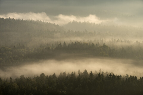 Deutschland, Sachsen, Elbsandsteingebirge, Blick vom Gleitmannshorn auf Nebel und Wald mit dramatischem Sonnenlicht nach Sonnenaufgang, lizenzfreies Stockfoto