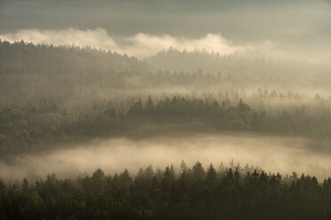 Deutschland, Sachsen, Elbsandsteingebirge, Blick vom Gleitmannshorn auf Nebel und Wald mit dramatischem Sonnenlicht nach Sonnenaufgang - RUEF02229