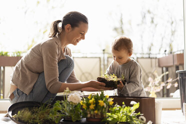 Mutter und Tochter pflanzen gemeinsam Blumen auf dem Balkon - DIGF07036