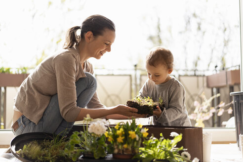 Mother and daughter planting flowers together on balcony - DIGF07036