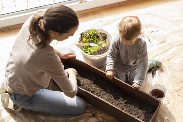 Mutter und Tochter mit Blumenkasten auf dem Balkon - DIGF07039