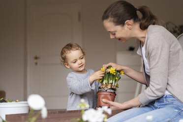 Mother and daughter planting flowers together on balcony - DIGF07040