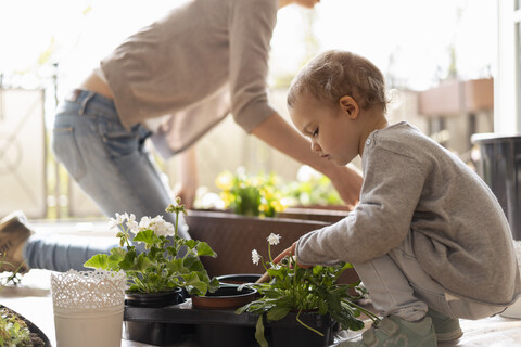 Mutter und Tochter pflanzen Blumen auf dem Balkon, lizenzfreies Stockfoto