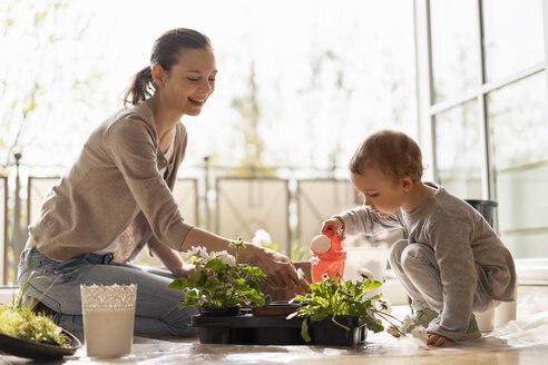 Mutter und Tochter pflanzen gemeinsam Blumen auf dem Balkon - DIGF07048