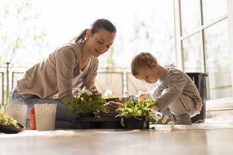 Mutter und Tochter pflanzen gemeinsam Blumen auf dem Balkon, lizenzfreies Stockfoto