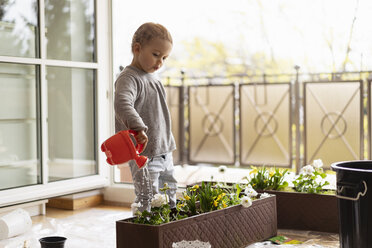 Kleines Mädchen gießt Blumen zu Hause - DIGF07052