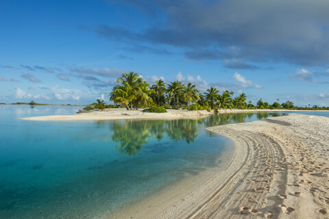 Französisch-Polynesien, Tuamotus, Tikehau, Palmenstrand, lizenzfreies Stockfoto