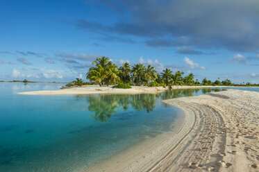 French Polynesia, Tuamotus, Tikehau, palm beach - RUNF02075