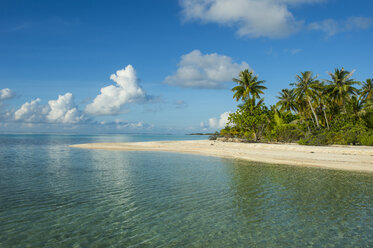 French Polynesia, Tuamotus, Tikehau, palm beach - RUNF02076