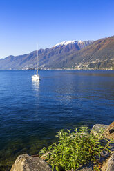 Segelboot auf dem Lago Maggiore, Ascona, Tessin, Schweiz - PUF01471