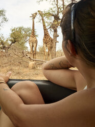 Frau beobachtet ein Giraffenpaar durch ein Autofenster, Krüger-Nationalpark, Mpumalanga, Südafrika - VEGF00243