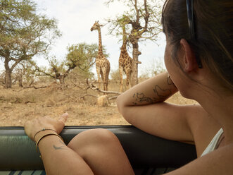 Frau beobachtet ein Giraffenpaar durch ein Autofenster, Krüger-Nationalpark, Mpumalanga, Südafrika - VEGF00244