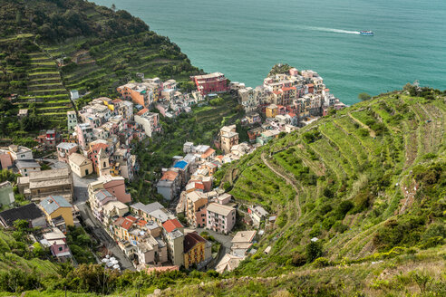 Manorola, Cinque Terre, Ligurische Riviera, Provinz La Spezia, Italien - STSF01979