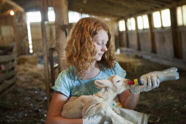 Kaukasisches Mädchen füttert ein Lamm mit der Flasche - BLEF03712