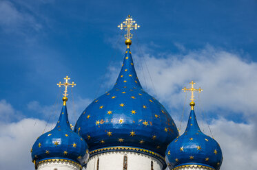 Kathedrale der Geburt der Jungfrau Maria, Suzdal, Goldener Ring, Russland - RUNF02143