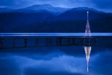 Weihnachtsbaum spiegelt sich im See - BLEF03994