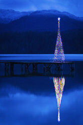 Weihnachtsbaum spiegelt sich im See - BLEF03995