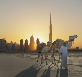 Mann aus dem Nahen Osten geht mit Kamelen in der Nähe der Stadt spazieren - BLEF04052