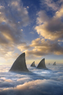 Haifischflossen über den Wolken - BLEF04091
