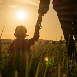 Frau und Sohn halten sich in einem Feld bei Sonnenuntergang an den Händen - BLEF04376