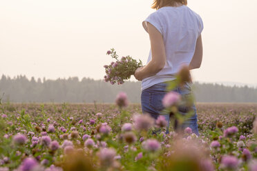 Kaukasische Frau pflückt Blumen auf einem Feld - BLEF04386