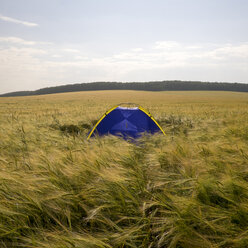 Blue camping tent in field of tall grass - BLEF04399